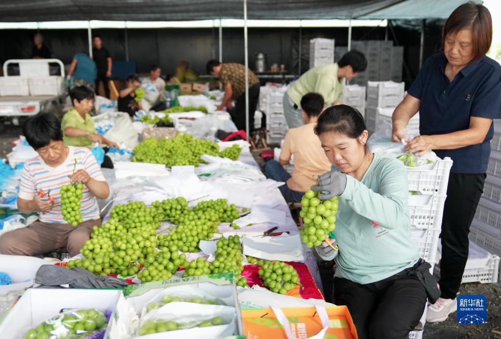 公博评级公司
